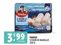 Deco Supermercati Findus 5 fiori di nasello offerta