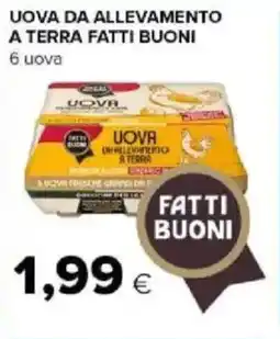 Tigre Amico Uova da allevamento a terra FATTI BUONI offerta