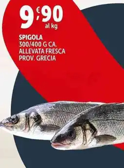 Deco Supermercati Spigola offerta