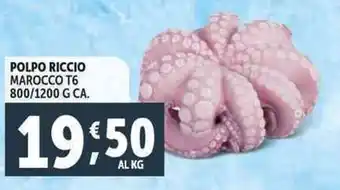 Deco Supermercati Polpo riccio marocco T6 offerta