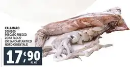 Deco Supermercati Calamaro offerta