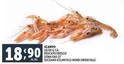 Deco Supermercati Scampo pescato fresco zona fao 27 offerta