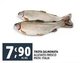 Deco Supermercati Trota salmonata allevato fresco offerta