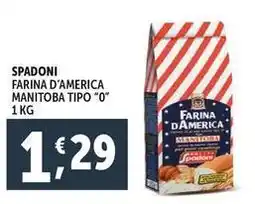 Deco Supermercati Spadoni farina d'america manitoba tipo "0" offerta