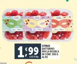 Deco Supermercati Citrus datterino per la ricerca offerta