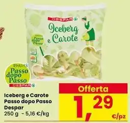 Interspar Iceberg e Carote Passo dopo Passo Despar offerta