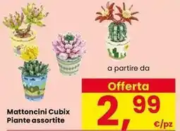Interspar Mattoncini Cubix Piante offerta