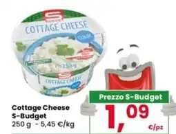 Interspar Cottage Cheese S-Budget offerta
