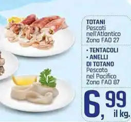 Famila Superstore TOTANI Pescati nell'Atlantico Zona FAO 27 - TENTACOLI ANELLI DI TOTANO Pescato nel Pacifico Zona FAO 87 offerta