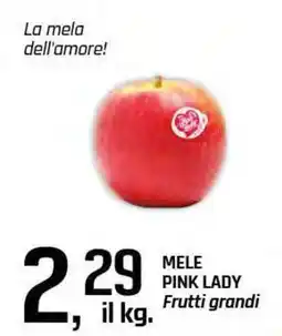 Famila Superstore Mele pink lady frutti grandi offerta