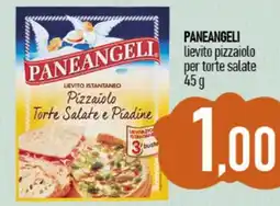 Ciro Amodio PANEANGELI Lievito pizzaiolo per torte salate offerta