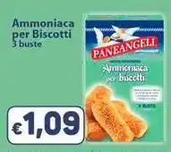 Sidis Ammoniaca per Biscotti offerta