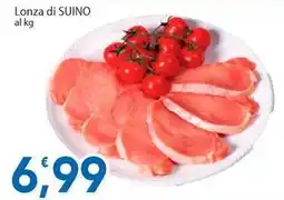 Sidis Lonza di SUINO offerta