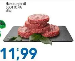 Sidis Hamburger di SCOTTONA offerta