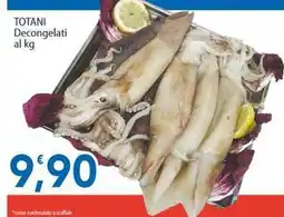 Sidis TOTANI Decongelati offerta