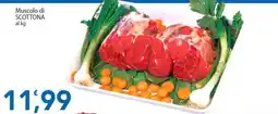 Sidis Muscolo di SCOTTONA offerta