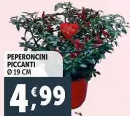 Deco Supermercati Peperoncini piccanti ø 19 cm offerta