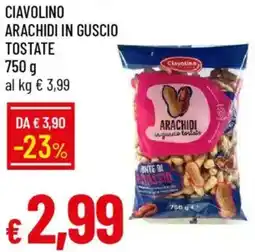 Galassia Ciavolino arachidi in guscio tostate offerta