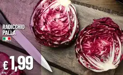 Galassia Radicchio palla offerta