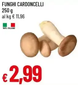 Galassia Funghi cardoncelli offerta