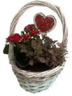 Galassia Composizione cesto offerta