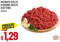 Galassia Macinato scelto di bovino adulto scottona offerta