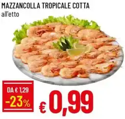 Galassia Mazzancolla tropicale cotta offerta