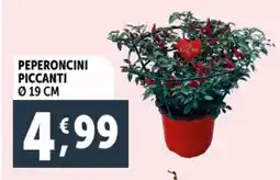 Deco Supermercati Peperoncini piccanti ø19 cm offerta