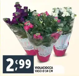 Deco Supermercati Violaciocca vaso ø 14 cm offerta