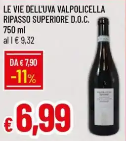 Galassia Le vie dell'uva valpolicella ripasso superiore d.o.c. offerta