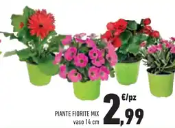 Conad Superstore Piante fiorite mix offerta