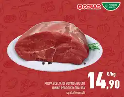 Conad Superstore Polpa scelta di bovino adulto conad percorso qualità spalla/muscoli offerta