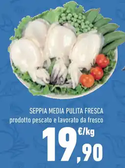 Conad Superstore Seppia media pulita fresca prodotto pescato e lavorato da fresco offerta