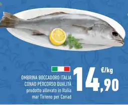 Conad Superstore Ombrina boccadoro italia conad percorso qualità prodotto allevato in italia mar tirreno per conad offerta
