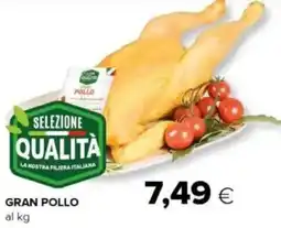 Oasi Gran pollo offerta