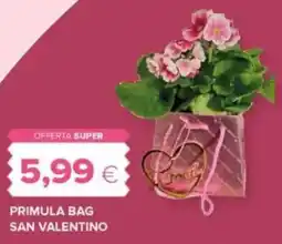 Oasi Primula bag san valentino offerta