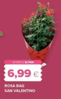 Oasi Rosa bag san valentino offerta