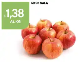 Ekom Mele gala offerta