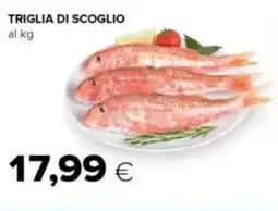 Tigre Triglia di scoglio offerta