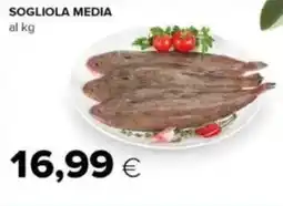 Tigre Sogliola media offerta