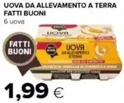 Tigre Uova da allevamento a terra FATTI BUONI offerta