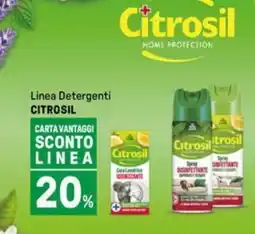 Iper La Grande Linea Detergenti CITROSIL offerta