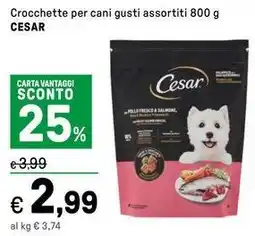 Iper La Grande Crocchette per cani CESAR offerta