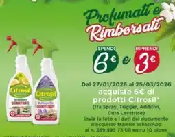 Iper La Grande Citrosil offerta