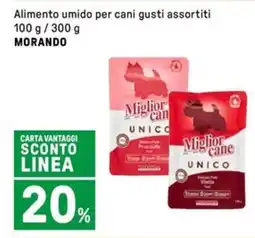 Iper La Grande Alimento umido per cani MORANDO offerta