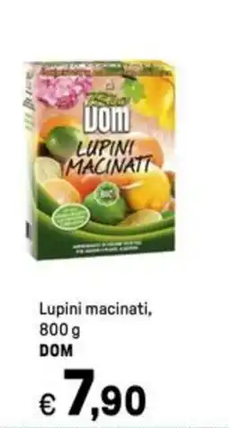 Iper La Grande Lupini macinati DOM offerta