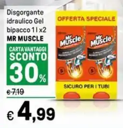 Iper La Grande Disgorgante idraulico Gel bipacco MR MUSCLE offerta