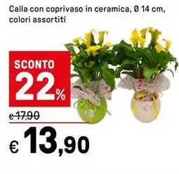 Iper La Grande Calla con coprivaso in ceramica offerta