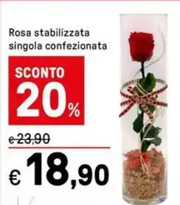 Iper La Grande Rosa stabilizzata singola confezionata offerta