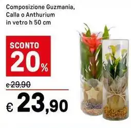 Iper La Grande Composizione Guzmania, Calla o Anthurium in vetro offerta